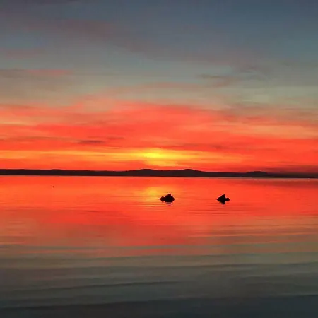 Zatona Sunset With Heated Swimming Pool Вилла